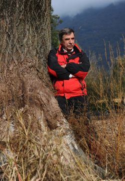 Contone Ulrico Feitknecht