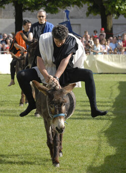Mendrisio Palio degli Asini
