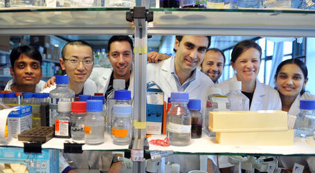 Bellinzona Andrea Alimonti ricercatore IOSI