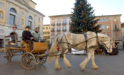 Senza titolo