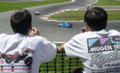 Lostallo Campionato Europeo vetture radiocomandate
