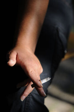 20.008.2009 Losone fumo