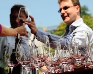 Ticino Cantine Aperte Ticino Cantine Aperte