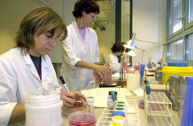 Bellinzona Istituto Cantonale Microbiologia