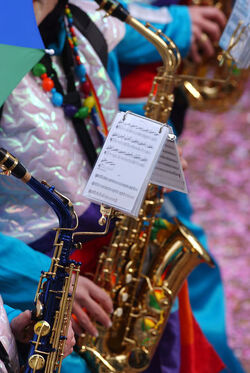 Bellinzona Carnevale Rabadan