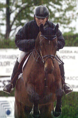 Ippica concorso elite qualifiche ai campionati svizzeri