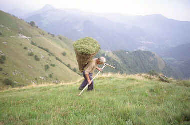Monte Generoso agricoltura