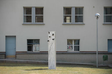 Bellinzona cerimonia commemorativa per le vittime di misure coercitive
