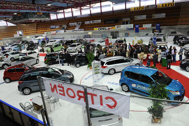 Biasca Autoinespo