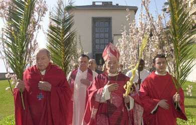 Lugano benedizione delle palme