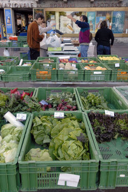 Lugano mercatino in Piazza Riforma