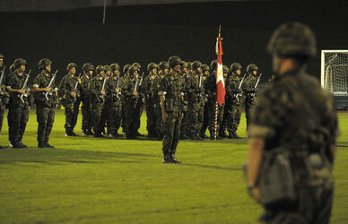 Mendrisio consegna della bandiera Battaglione Genio 9 Mendrisio consegna della bandiera Battaglione Genio 9