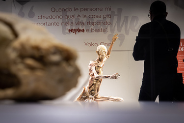 Lugano Real Bodies alla scoperta del corpo umano