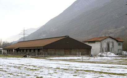 Giubiasco stalla d ingrasso per maiali FELA Giubiasco stalla d ingrasso per maiali FELA