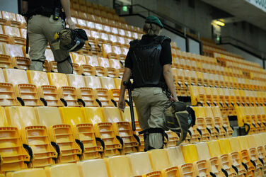 Hockey sicurezza alla pista della Resega