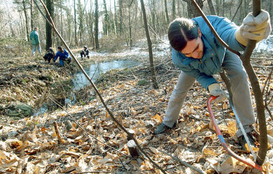 Losone eco volontariato WWF