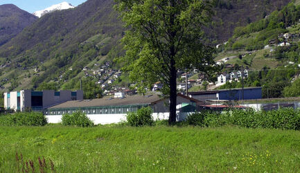 Ticino societa protezione animali