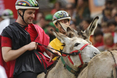 Mendrisio Palio degli Asini