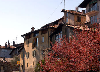 Senza titolo