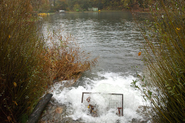 Ticino Precipitazioni e maltempo