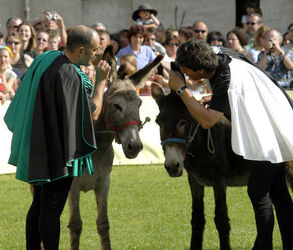 Mendrisio Palio degli Asini