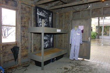 Lugano vittime dimenticate baracca Mauthausen Lugano vittime dimenticate baracca Mauthausen