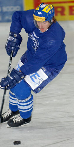 Hockey Pavel Vostrak