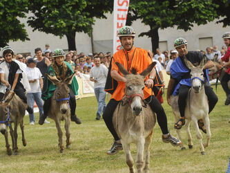 Mendrisio Palio degli Asini