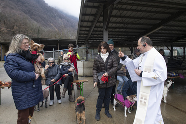 Gorduno tradizionale benedizione degli animali al Rifugio Societ&agrave; Protezione animali Bellinzona SPAB