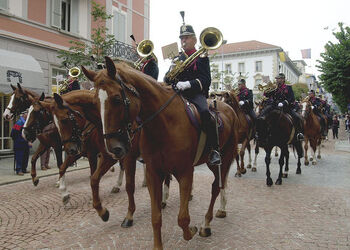 Bellinzona sfilata equestre TIcavallo