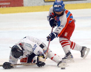 Hockey torneo MCdonald