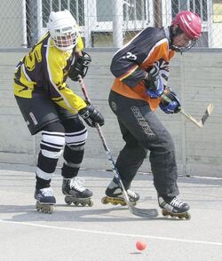 Hochey inline Torneo internazionale di Lugano Hochey inline Torneo internazionale di Lugano