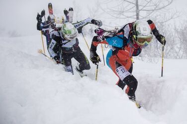 Scialpinismo Tris Rotondo 2016