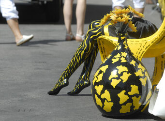 Locarno 62&deg; Festival del Film foto curiose