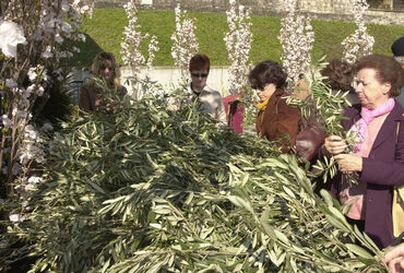 Lugano benedizione delle palme