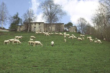 Monte Generoso agricoltura