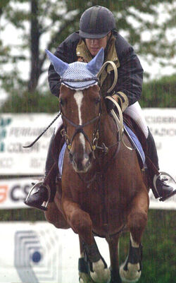 Ippica concorso elite qualifiche ai campionati svizzeri