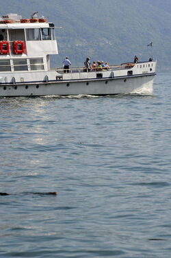 Ascona turismo lacustre
