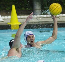 Pallanuoto Lugano Sciaffusa