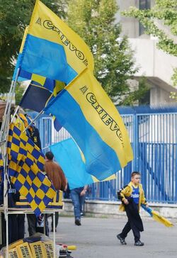 Verona calcio la favola del Chievo