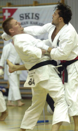Karate finali campionati svizzeri Elite