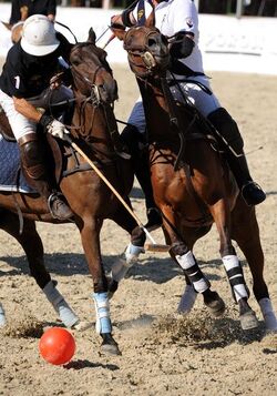 15.07 .2011 Polo 2a edizione Polo Cup Ascona