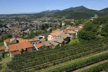 Salorino veduta panoramica