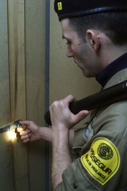 Senza titolo Senza titolo