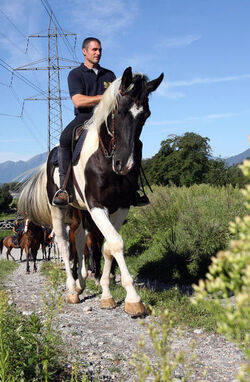 Giubiasco trekking dell Insubria a cavallo