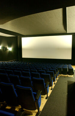 Bellinzona Cinema Forum