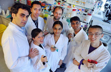 Bellinzona Andrea Alimonti ricercatore IOSI