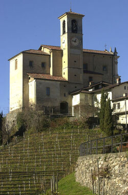 Senza titolo Senza titolo