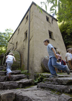 Bruzella Mulino di Bruzella