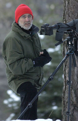 Toceno Italia peppole in volo